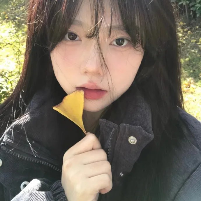 七枭雄